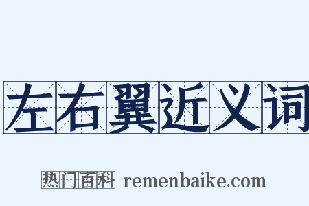 左右翼近义词是什么意思的图片